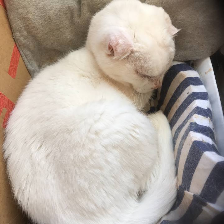 02e28d0a 9233 4330 9212 2bb9a524f996 1547184256459