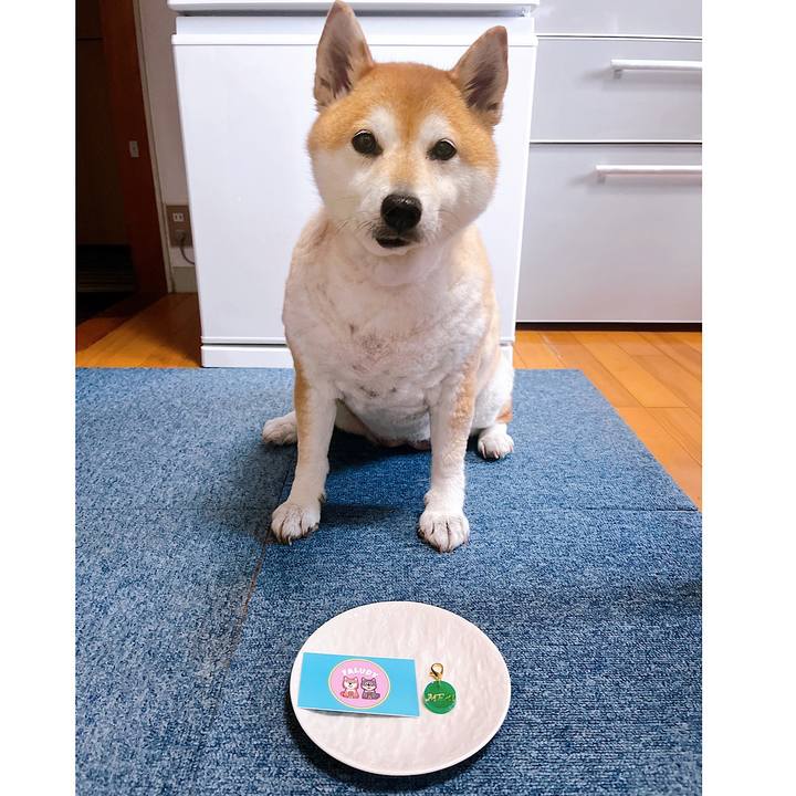 02e2eb72 faf5 4887 9dc4 020c98f4b10a 1716793865408