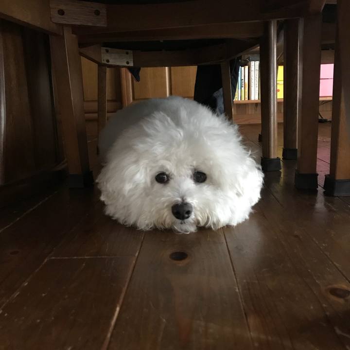 02e339d7 c04b 48f3 8d98 671e7eb103d8 1527721792393