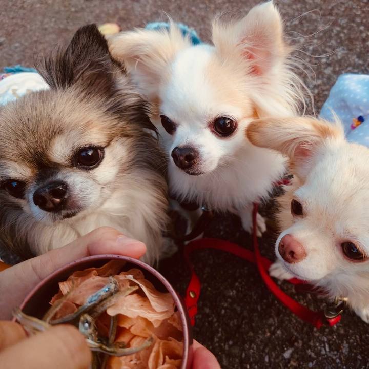 02e33a37 ac6f 441c b6d3 624be4e68639 1633077803651