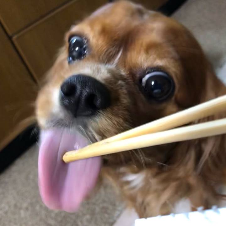 02e34456 1cf3 444e 8d68 25c67dfc6b58 1608203871844