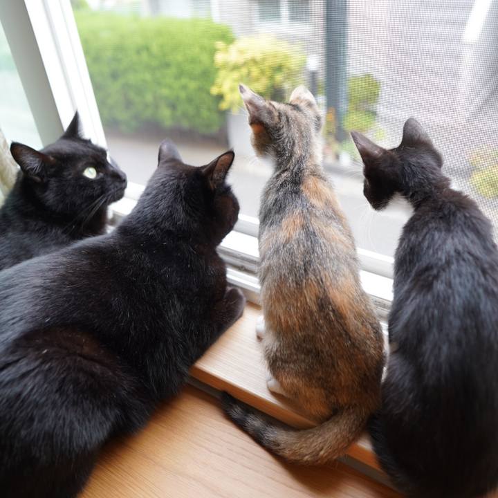 02e35360 d545 42eb afab d2ec5b725dd7 1568331286990