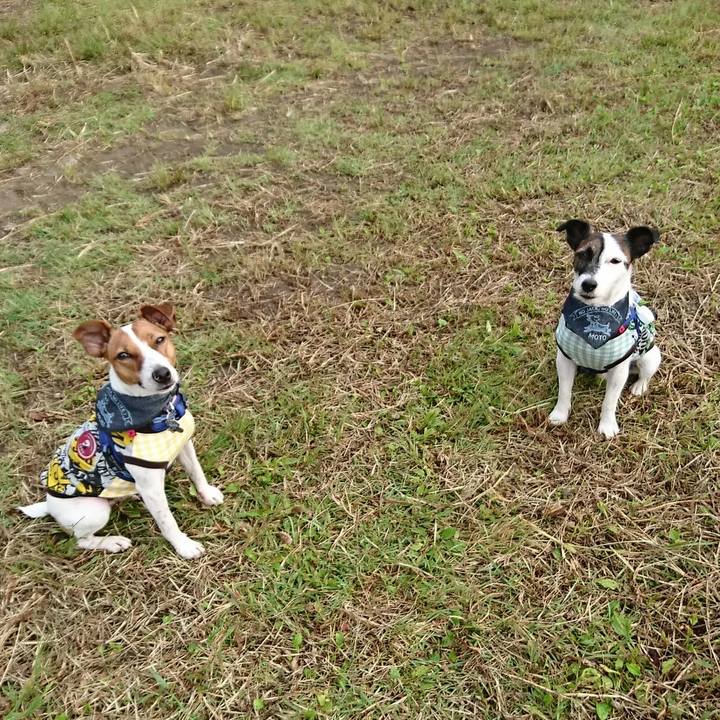 02e388e5 e8dd 4c2d b844 2fef2869121e 1537740675316