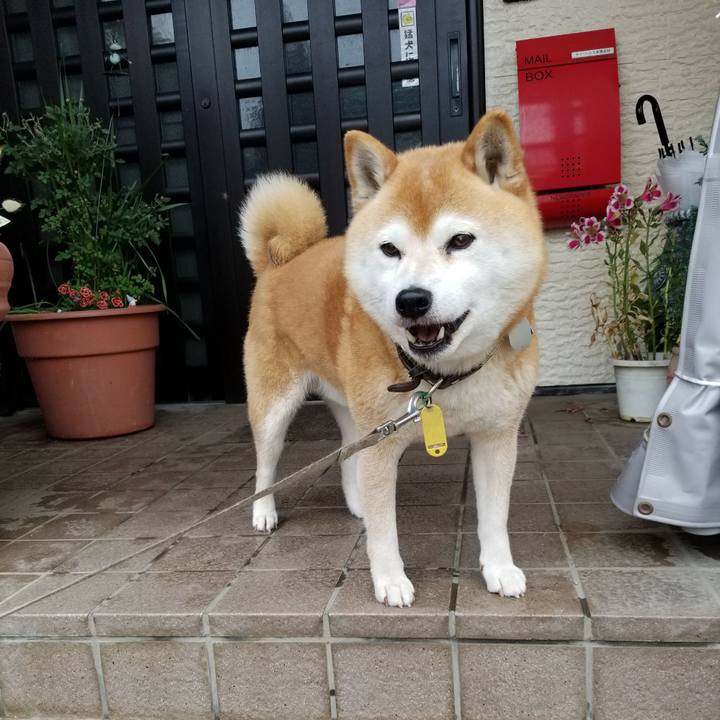 02e39fa7 512e 4a98 9c84 97bfe3fb99b7 1621240973550