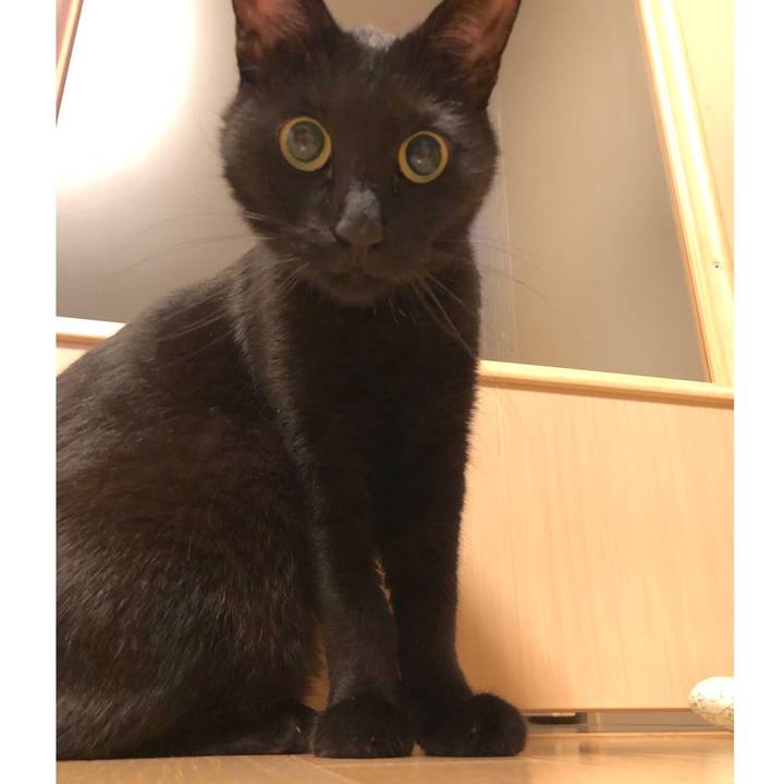 02e3ad25 94eb 41df 9f12 fef9b73617f2 1524145775839