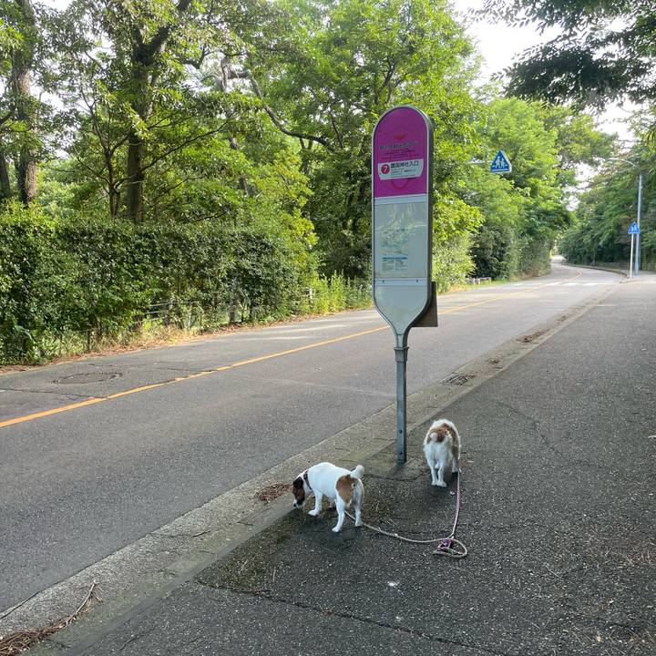 02e3d801 f6eb 4214 91ad 897c6db686f0 1752365313766