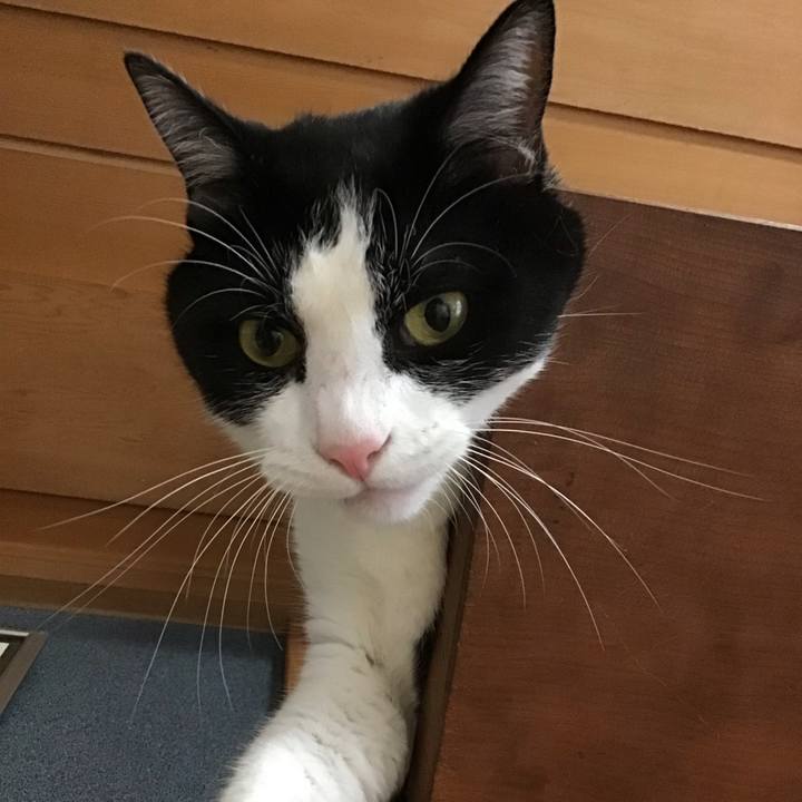 02e3db1c ee65 4bee afde 22d2a68baede 1725782588083