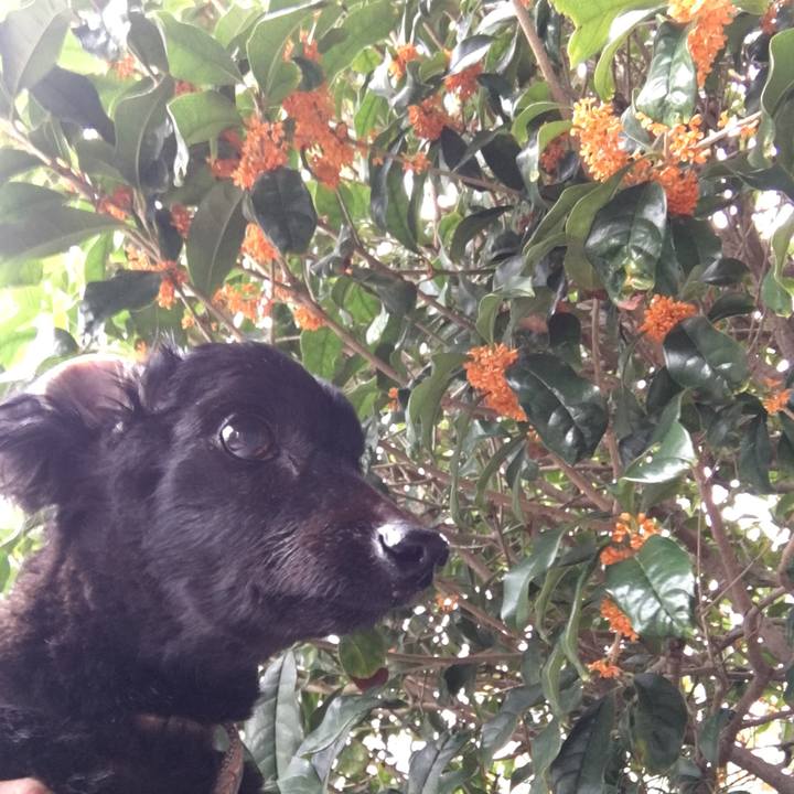 02e3ec19 9a56 4f27 85cd d635d3f953f3 1697433569938