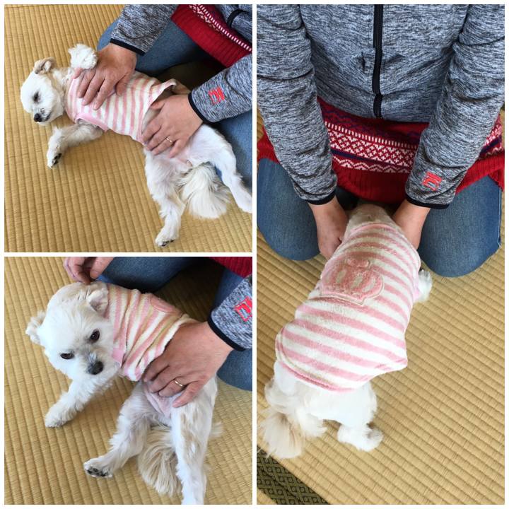 02e43207 850b 4bad bffd 09d8a46ad6fa 1547787949040