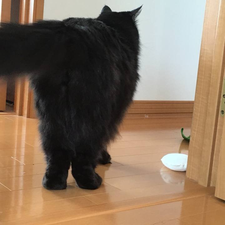 02e43374 c404 437a 9eb6 07eebf3d819e 1542678877918