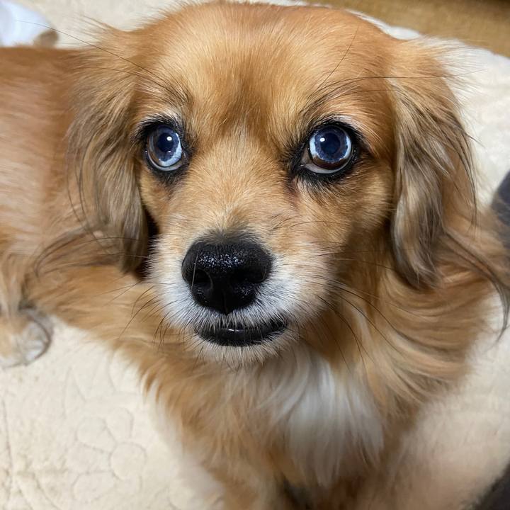 02e4428f d006 47aa 960c 080acf3c78a4 1669067769032