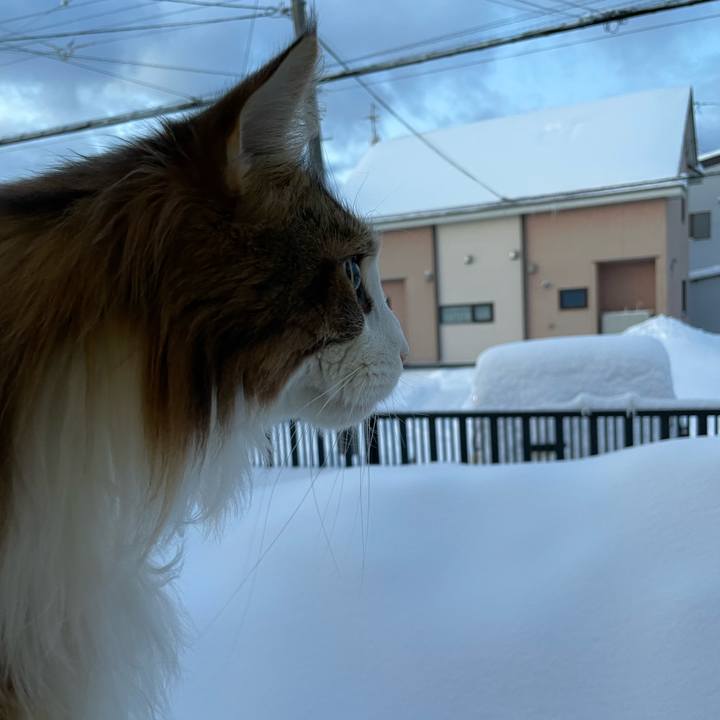 02e48d5d 0f2e 4189 aece 40d8223d31a3 1673819587773