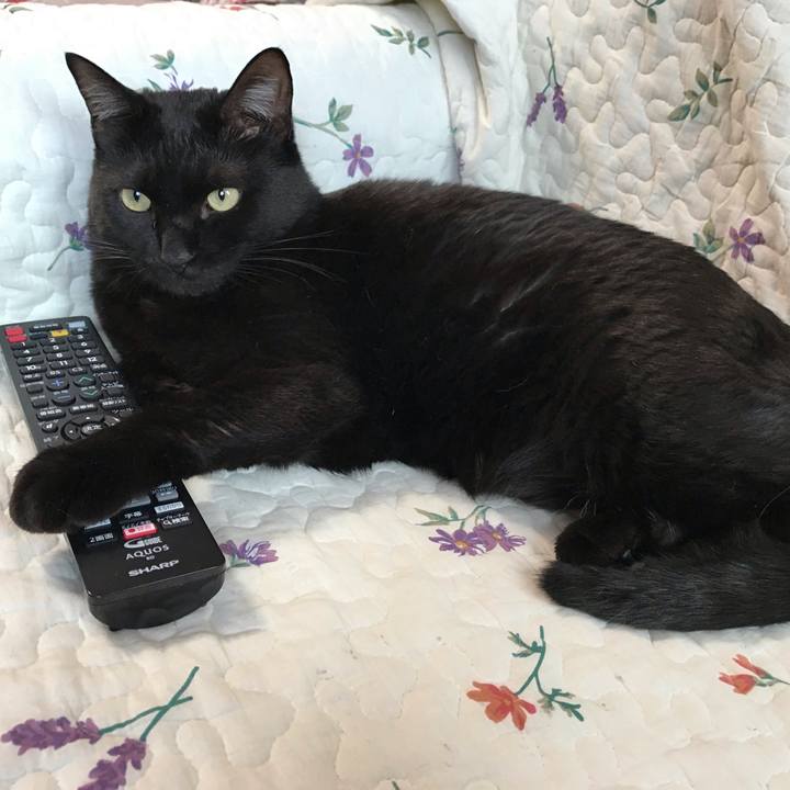 02e4da40 cf6e 45a3 a812 fec8602f7eae 1614377732630