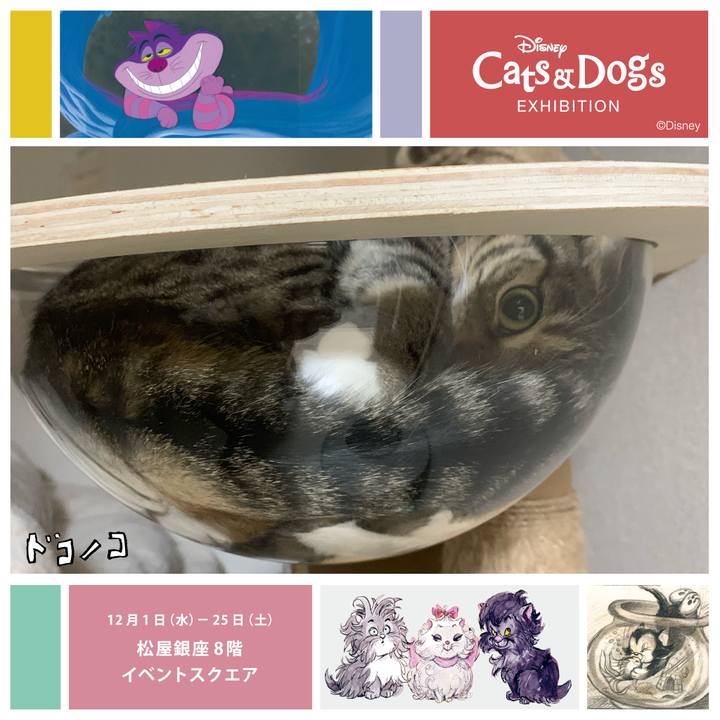 02e5104c 3aa7 442b a2c8 ded425347013 1638455610177