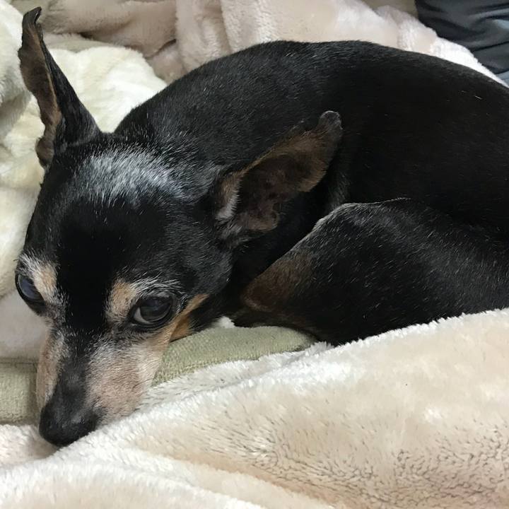 02e52390 11de 46ea bb23 06328bf870f8 1556694067895