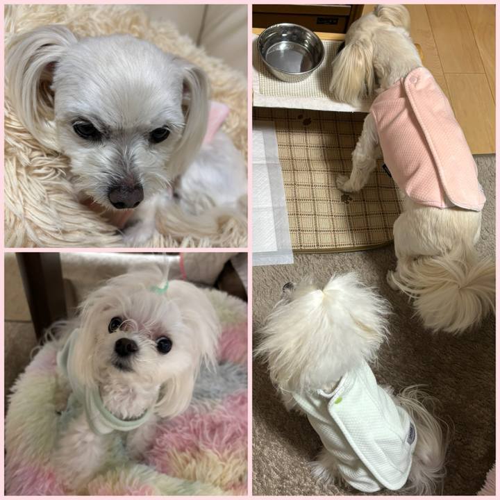 02e538ef a510 424c bb1d 9bc8be176e2a 1770806393323