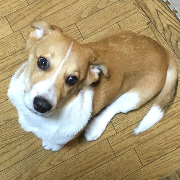 02e55497 fc57 4dcf 8079 afb25122ed23 1593041078432