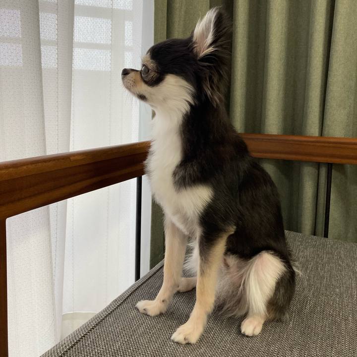 02e57380 db1e 4e1e b772 738e02829100 1630729325063