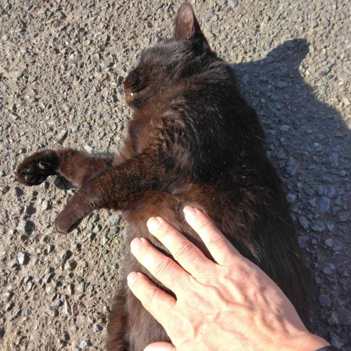 02e59d2d a776 48a3 93da 312c8b7016b1 1697158488272