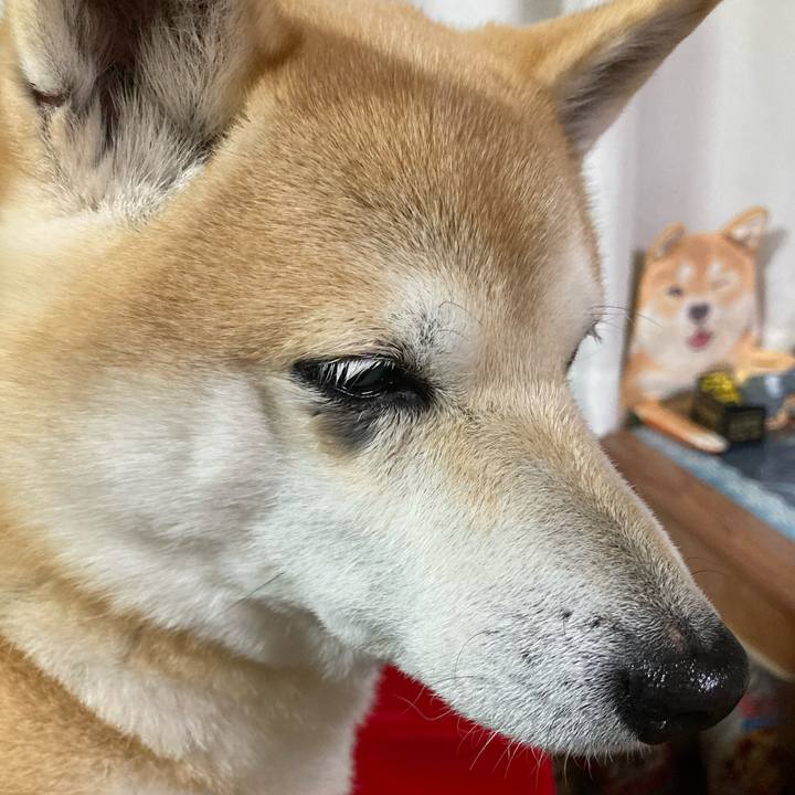 02e59efb 123d 4002 892b ef0fbb6bf7ef 1617340680965