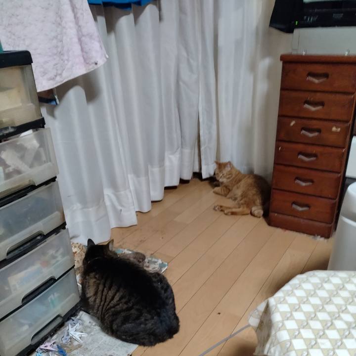 02e5a0e2 cee4 4152 8a87 9edf60795719 1710753720158