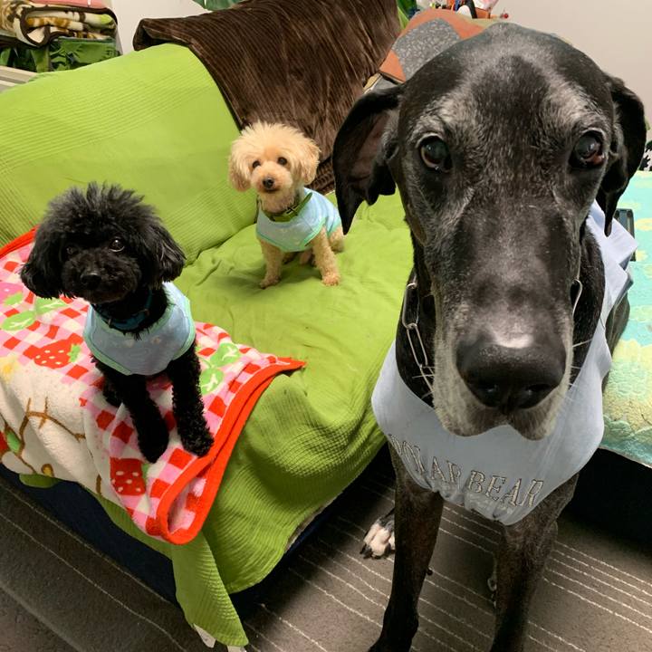 02e5cebf 5291 49d1 b335 cd812c012462 1591137411577