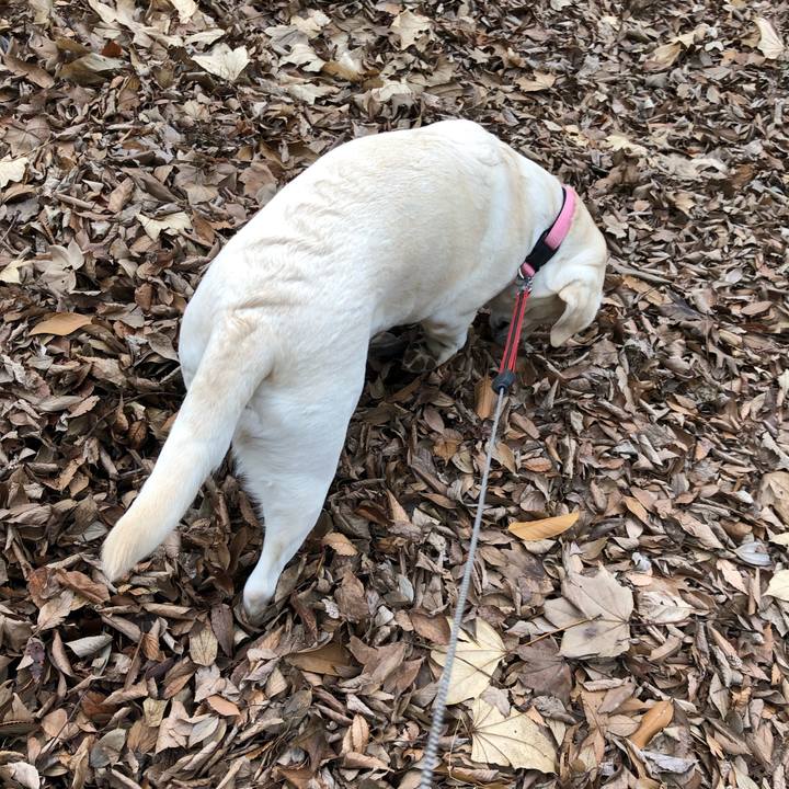 02e5e1c9 27f0 4817 9a54 cc4cd8b62ff4 1611726474185