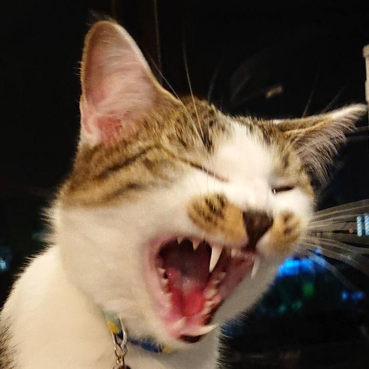 02e5e896 4a9d 4332 81aa 30dbeff3bf67 1558276971750