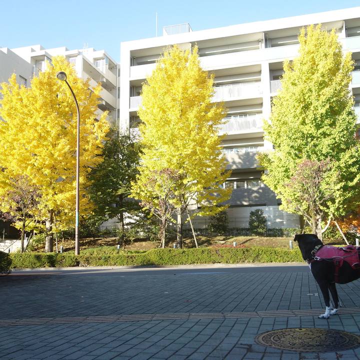 02e6312f c3e6 4feb a778 37b41963bc2a 1700786847053