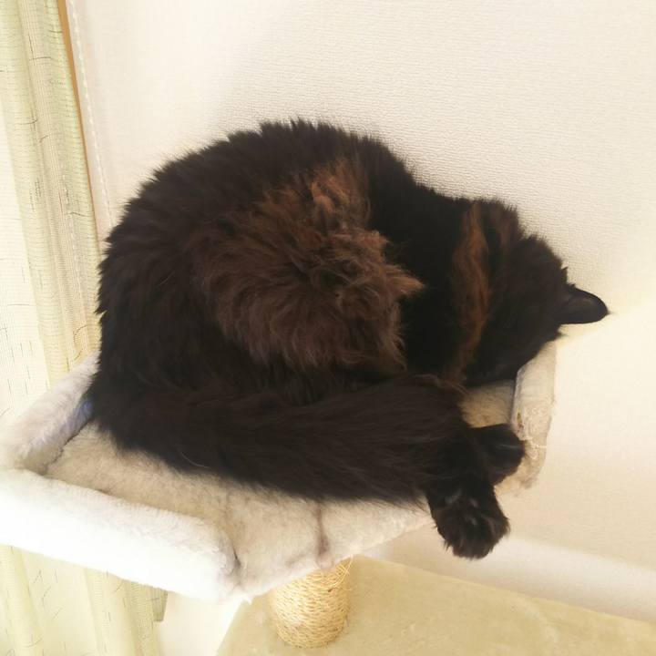 02e67921 8b24 47b3 aa6f 41dbf4f2b821 1541298081349