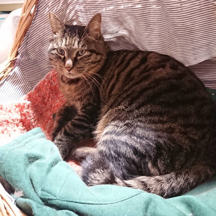 02e69a19 b2bc 47e7 a628 732903b8eb2e 1643201368985