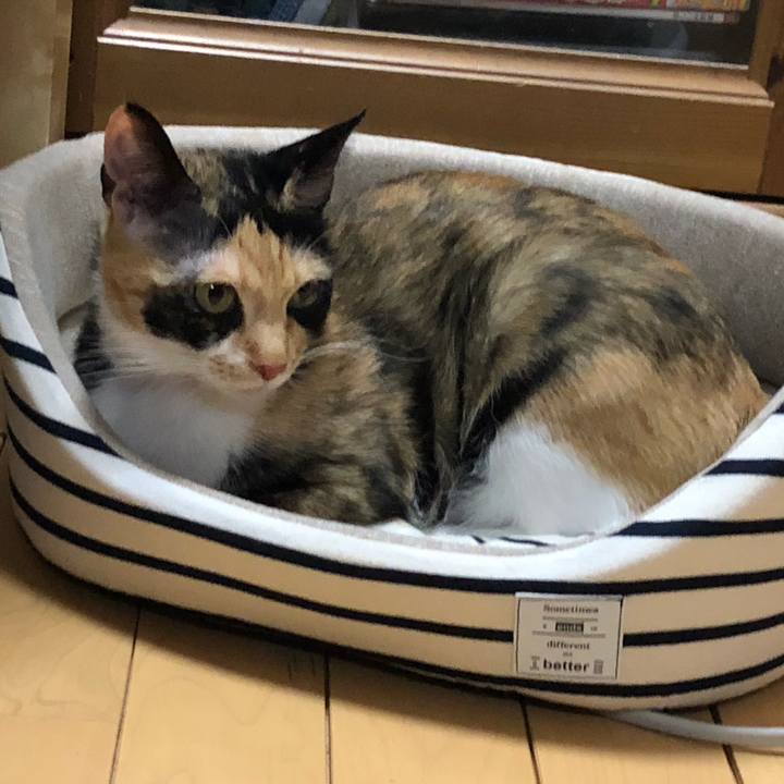 02e6a3c1 f14a 416a a5cb 102dff95dbf9 1547476992188