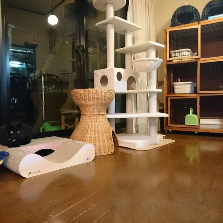 02e6a588 f8e5 4ad1 b2ef e4e7ba354d82 1519305575936