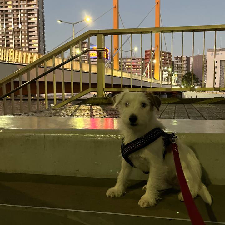 02e6da13 12dd 4136 8646 55666d7cc4c9 1764511559329