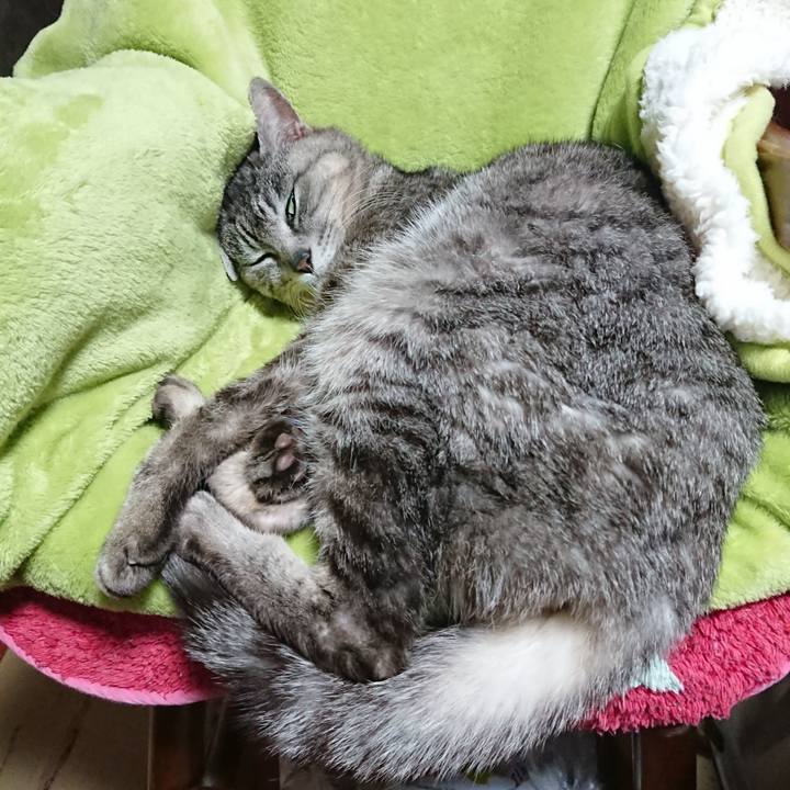 02e6eb18 739e 4f62 92f1 62781ec39bd5 1588720243943