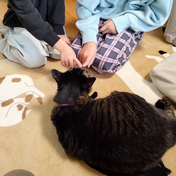 02e6fdef 8cfb 4633 b65b eaa2fa678d7c 1774177648673