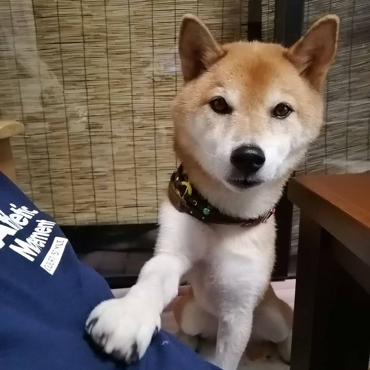 02e71873 4c88 416c a84d ad5aff47cb38 1692185631716