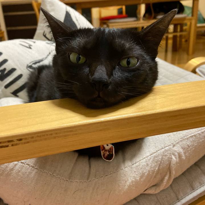 02e7317e aa16 4369 a551 a9adb88051df 1570626176076