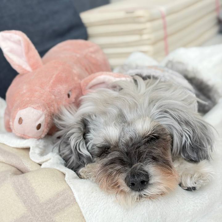 02e75e1c 78bc 4e9c bd6b 61f099369371 1773733347278