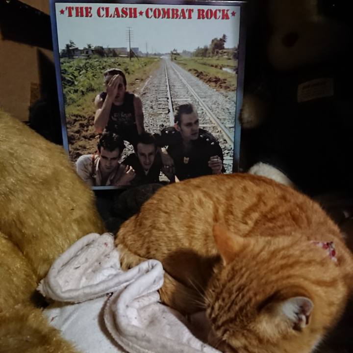 02e77507 22a4 4415 8db6 bac0229f8674 1606213594540