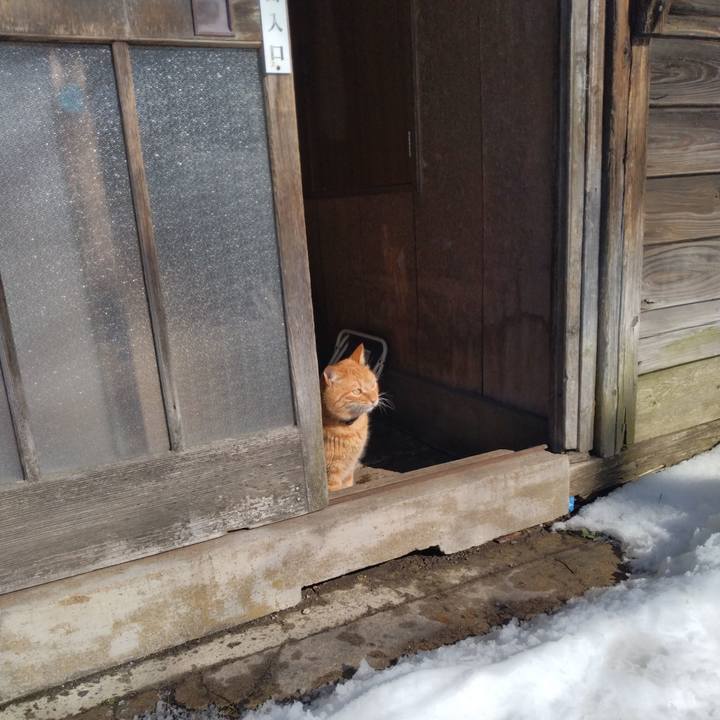 02e78183 f20e 4d10 a835 104e23bd9586 1675562279242