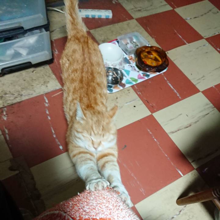 02e7d845 7119 47eb b59c 6f3cb8b033be 1588103332320