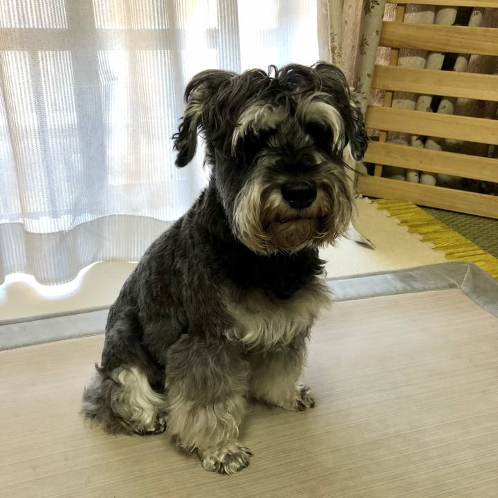 02e7dba7 9005 4da6 9118 c92a56971d7a 1631144616530