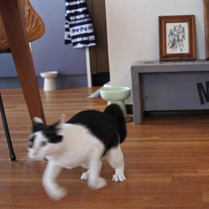 02e7dcc3 c1b2 458e 8c48 77941562ceb3 1536911666947