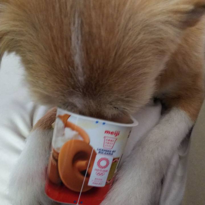 02e7dfae 1292 4268 9151 11527b5976f2 1527286187881