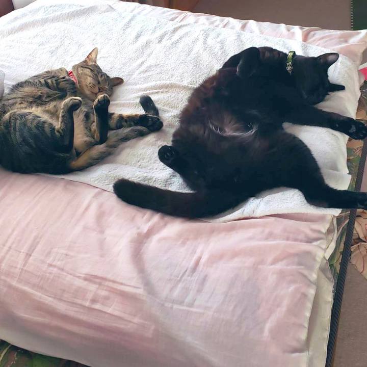 02e7e1f2 8659 4274 958f 3de3d0b10dcd 1560001519233