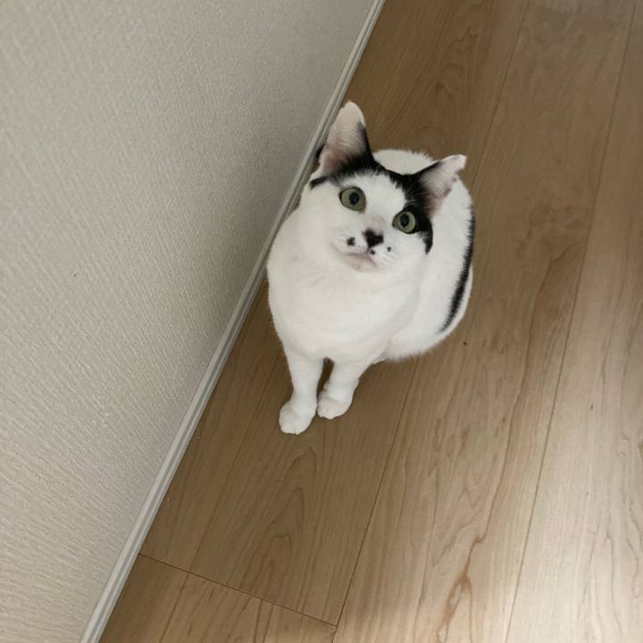 02e84838 33f7 41b5 8045 62c588447355 1766956062383