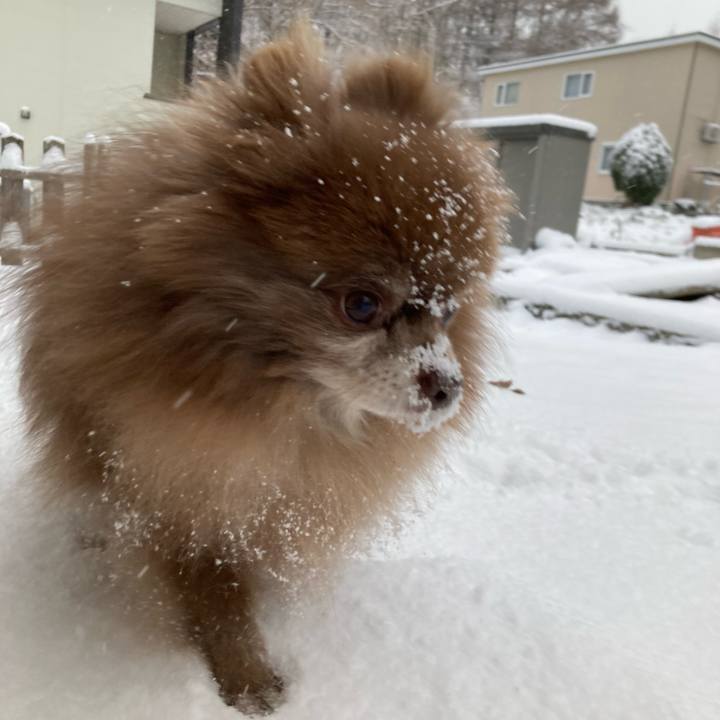 02e85688 94dd 4fb3 934f 6d1bb0735e04 1701928897685