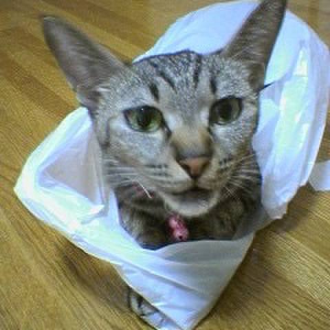 02e86162 ac45 4dcd 9f05 41a93c2eeed5 1556167367311