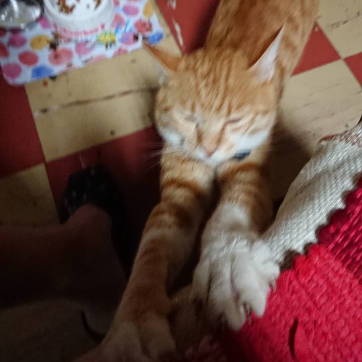 02e86e25 f9fa 4cbf bd63 761937e3aad6 1564690875539